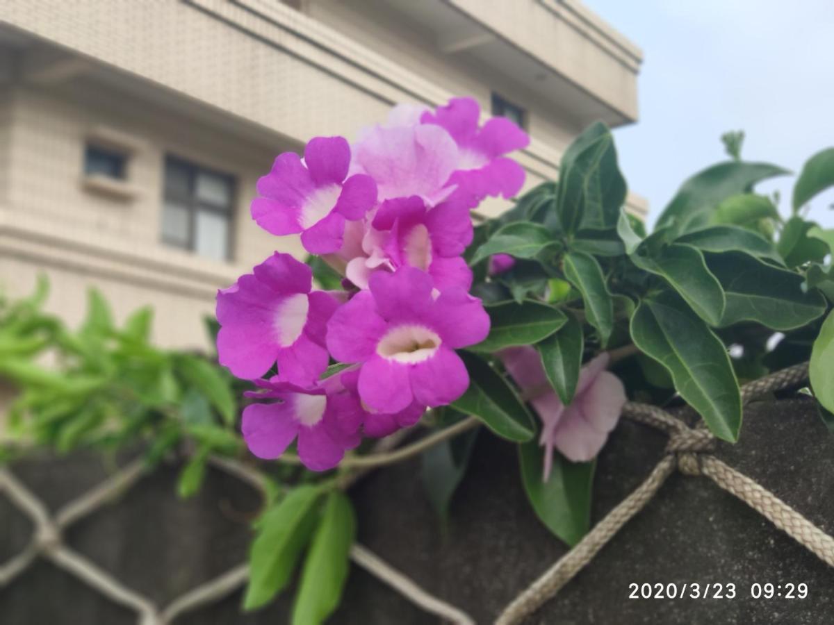 嘉義泊岸居民宿 Lucao 외부 사진